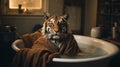 Surrealist Photography: Tiger In A Big Tub With Long Sleeve Shirt