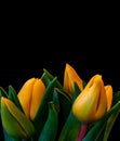 Surrealistic bouquet of yellow young lush tulips, vintage painting style still life macro