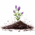 Surrealistic Cartoon: Lavender Sprouting From Ground With Graceful Balance
