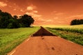 Surrealistic landscape in infra red color
