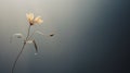 Surrealistic Minimalist Flower In Muted Tones - Uhd Image