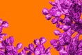 Surrealistic purple cactus on a orange background in minimal style