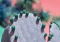 Surrealistic purple and green thorny cactus with little fruits