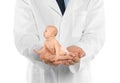 Surrogacy concept. Doctor holding cute baby on white background, closeup