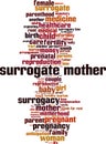 Surrogate mother word cloud