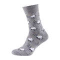 Surround gray sock with prints, on a white background