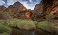 The walk into Catherdral Gorge, Purnululu, National Park