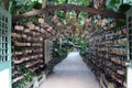 Surrounded by Ema Japanese wooden prayers in Aoshima Shrine of Miyazaki