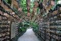 Surrounded by Ema Japanese wooden prayers in Aoshima Shrine of Miyazaki