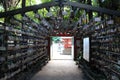 Surrounded by Ema Japanese wooden prayers in Aoshima Shrine of Miyazaki