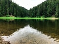 Surrounded with pine trees mountain lake. Synevyr. Ukraine