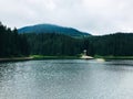 Surrounded with pine trees mountain lake. Synevyr. Ukraine