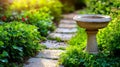 Surrounded by rich tropical vegetation, a stone birdbath rests peacefully Royalty Free Stock Photo