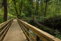 Wooden footbridge in Stanislaus fountain park