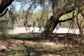 Butcher Jones Beach Arizona, Tonto National Forest Royalty Free Stock Photo