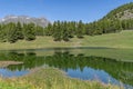 The surrounding nature is reflected in the still water of Lake Lod, Aosta Valley, Italy, in the summer season Royalty Free Stock Photo