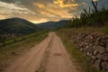 Surroundings of Andlau in Alsace in France