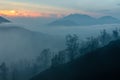 Surroundings of Ijen volcano. Trees through fog and sulfur smoke. Banyuwangi Regency of East Java, Indonesia. Royalty Free Stock Photo