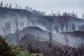 Surroundings of Ijen volcano. Trees through fog and sulfur smoke. Banyuwangi Regency of East Java, Indonesia. Royalty Free Stock Photo