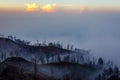 Surroundings of Ijen volcano. Trees through fog and sulfur smoke. Banyuwangi Regency of East Java, Indonesia. Royalty Free Stock Photo