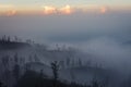 Surroundings of Ijen volcano. Trees through fog and sulfur smoke. Banyuwangi Regency of East Java, Indonesia. Royalty Free Stock Photo