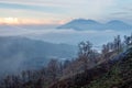 Surroundings of Ijen volcano. Trees through fog and sulfur smoke. Banyuwangi Regency of East Java, Indonesia. Royalty Free Stock Photo