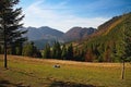 Surroundings of Vrchpodziar in the Janosik holes at Terchova village. Royalty Free Stock Photo