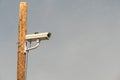 Surveillance camera on a wooden pole