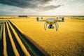 Surveillance of crop fields using cameras on flying drones. Ai generated