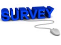 Survey Royalty Free Stock Photo