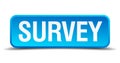 Survey blue 3d realistic button