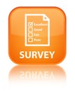 Survey (questionnaire icon) special orange square button