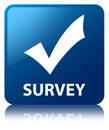 Survey (validate icon) blue square button Royalty Free Stock Photo