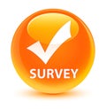 Survey (validate icon) glassy orange round button Royalty Free Stock Photo