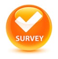 Survey (validate icon) glassy orange round button Royalty Free Stock Photo