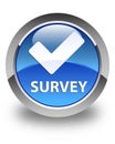 Survey (validate icon) glossy blue round button