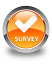 Survey (validate icon) glossy orange round button