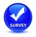 Survey (validate icon) glassy blue round button Royalty Free Stock Photo