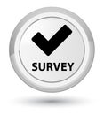 Survey (validate icon) prime white round button Royalty Free Stock Photo