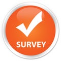 Survey (validate icon) premium orange round button Royalty Free Stock Photo