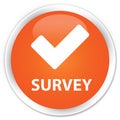 Survey (validate icon) premium orange round button Royalty Free Stock Photo