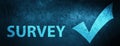 Survey (validate icon) special blue banner background