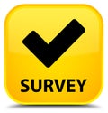 Survey (validate icon) special yellow square button