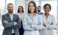 Survival in business requires a synergy of skills. Portrait of a group of businesspeople standing together in an office. Royalty Free Stock Photo