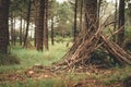 Survival hut made of branches