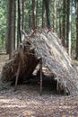 Survival Shelter