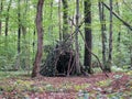 Survival shelter in the woods from tree branches. Cone or pyramid shape shelter