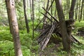 Survival shelter in the woods from tree branches. Cone or pyramid shape shelter