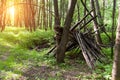 Survival shelter in the woods from tree branches. Cone or pyramid shape shelter