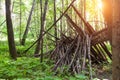 Survival shelter in the woods from tree branches. Cone or pyramid shape shelter